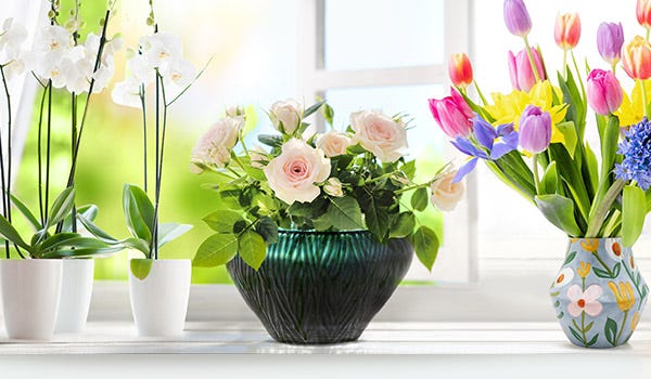 Primavera